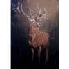 Elegant wildlife painting of a majestic stag with large antlers at The Kildare Gallery in Ireland.