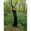 Dark sculpture with a gold tear-shaped element in a lush green forest.