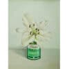 Vase with white lily flower on a vintage medicine bottle, contemporary still life art.