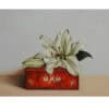 Vibrant white lily flower in a redOXO box, showcasing contemporary floral art at The Kildare Gallery.