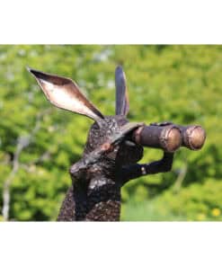 Rustic metal rabbit sculpture holding binoculars, outdoor art piece at The Kildare Gallery, Irish contemporary sculpture.