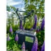 Dancer sculpture by Bob Quinn at The Kildare Gallery, bronze artwork among colourful garden flowers.