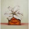 Vivid white lily flower emerging from vintage honey tin, showcasing nature-inspired art.