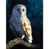 Silent owl painting with detailed feathers and dark background for art lovers and bird enthusiasts.