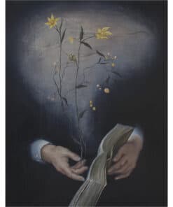 Flowers emerging from open book, literary art, botanical illustration, creative imagery, The Kildare Gallery.
