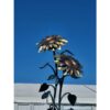 Bronze sunflower sculpture at The Kildare Gallery under a clear blue sky.