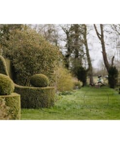 Mossy shaped topiary and garden sculpture in a lush, landscaped garden at The Kildare Gallery.