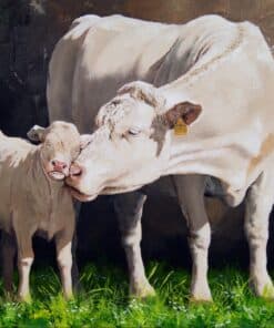 Two cows, one calf and one adult, standing on lush green grass in front of a textured wall.