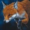 Vibrant fox portrait oil painting, detailed fur and expressive eyes, wildlife art by Irish artist, Kildare Gallery.