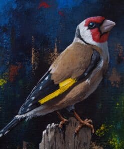 Bird artwork, bird art, The Kildare Gallery bird painting, colourful bird illustration, nature-inspired art piece.