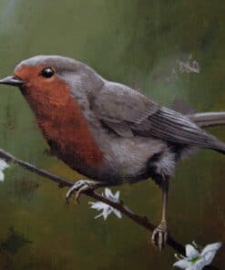 Robins on a blossoming branch, wildlife art, Irish gallery, nature painting, bird illustration, The Kildare Gallery exhibit.