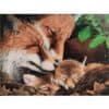 Fox family resting in a woodland setting, celebrated in wildlife art at The Kildare Gallery.