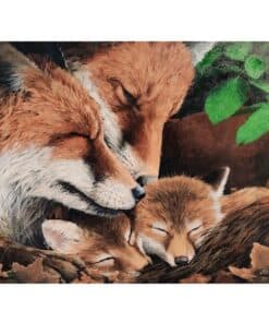 Fox family resting in a woodland setting, celebrated in wildlife art at The Kildare Gallery.