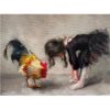 Rooster and girl in black dress painting, contemporary art at The Kildare Gallery.