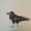 Black bird painting by The Kildare Gallery, contemporary art piece, detailed bird illustration, artistic wall decor, Irish gallery artwork.