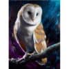 Detailed digital painting of an owl with expressive eyes perched on a branch.