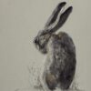 Detailed charcoal drawings of a hare, showcasing fine art techniques at The Kildare Gallery, Ireland.