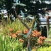 Vibrant metal bird sculpture in lush garden at The Kildare Gallery, surrounded by colourful flowers and greenery.