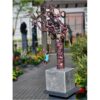 Copper tree sculpture with child on swing, outdoor art installation at The Kildare Gallery, beautiful contemporary metal artwork.