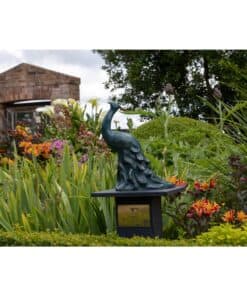Elegant bronze peacock sculpture amidst colourful garden flowers at The Kildare Gallery, showcasing outdoor art and lush landscaping in Ireland.
