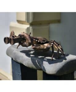 Bronze crab sculpture with binocular eyes displayed at The Kildare Gallery, Irish contemporary art exhibition.