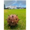 Rustic steel sculpture resembling a prehistoric hedgehog at The Kildare Gallery gardens.