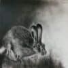 Intricate charcoal drawing of a hare with realistic details and expressive features.