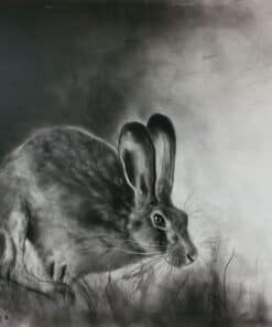 Intricate charcoal drawing of a hare with realistic details and expressive features.