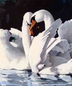 Elegant white swans on water, showcasing nature and wildlife art at The Kildare Gallery.