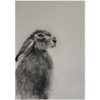 Elegant animal artwork showcasing a detailed sketch of a hare with a realistic eye focus.
